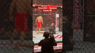 Муратбек Касымбай - Диего Брандао НОКАУТ #ufc #mma #hardcoremma