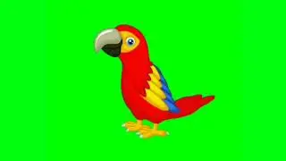 3D Cartoon Parrot 🦜 Animation Green Screen VFX Video | Chroma Key