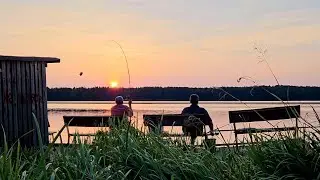 Рыбалка с Двумя Ночевками в Чечевичах. Лещ на Фидер в Жару. Последняя Рыбалка Лета 2023.