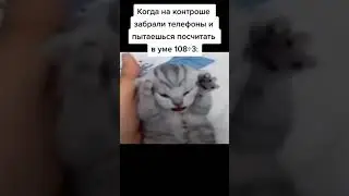 котенок орёт уаааааааэаа