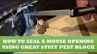 How to Seal a Mouse Opening