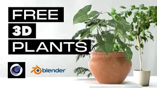 Free 3D Plants and Nature Models for Cinema4D and Blender