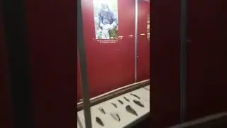 музей Костенки