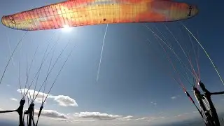 Epic ceiling over Hundred Acre Wood