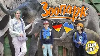 ВЛОГ Куда сходить с детьми в Германии / Кёльн ЗООПАРК для УКРАИНЦЕВ