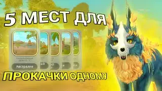 5 МЕСТ ДЛЯ ПРОКАЧКИ ОДНОМУ В ВАЙЛД КРАФТ/Баги на прокачку