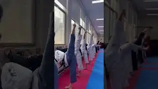 용인대 옆차기 훈련중~ #yt #태권도 #forms #tkd #martialartstraining #kick #taekwondo #karate #dance #martialarts