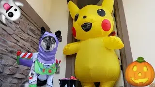 Kakoa's Favorite Halloween Trick or Treating Stories!