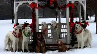 Зачотная Новогодняя песня с МТВ.. Рекомендую!
