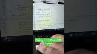 I Fixed PHP REST API Issues