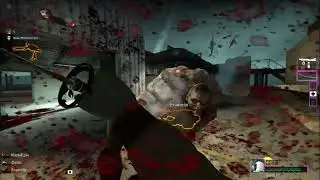 the craziest thing ive ever done in l4d2