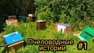 ХУЛИГАН РАЗНЁС УЛЬИ НА ПАСЕКЕ!!!