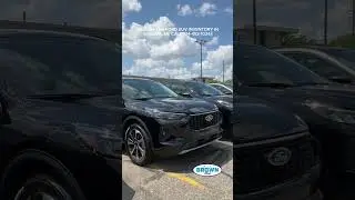 2024 Ford Escape Platinum Exterior Walk Around | Bill Brown Ford