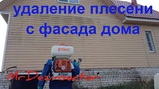 Удаление плесени с фасада дома 🏠