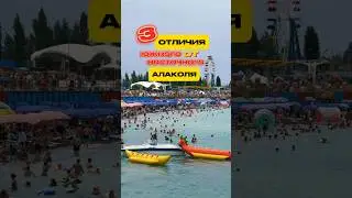 Чем отличается восточный Алаколь от южного берега Алаколь? #алаколь