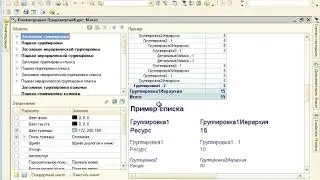 1С СКД 105 Просмотр общей структуры отчета