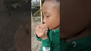 Bocil SD viral