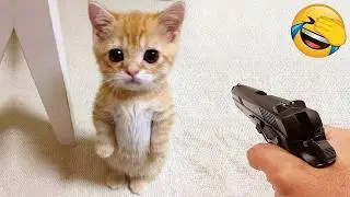 Funniest Cats and Dogs Clip 2025😼🐶Try Not To Laugh😜