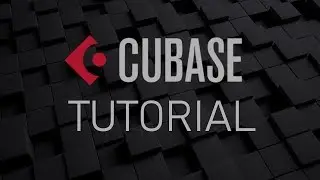 🎚️ How To Use Group Channels In Cubase