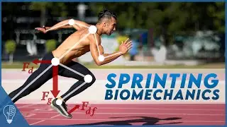 How sprinters use biomechanics to push the limits of the human body