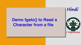 HINDI fgetc() to Read a Character from a file
