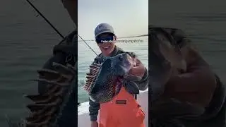 Was this a Fair Trade?