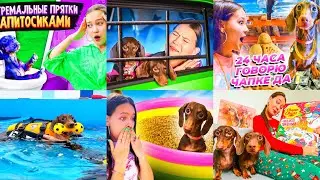 24 ЧАСА В... II КОЛЛЕКЦИЯ ОТ ЧАПИТОСИКОВ