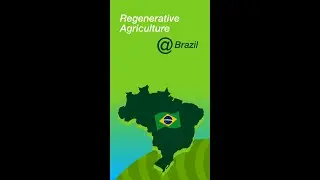 Agriculture in Brazil - No Till Farming