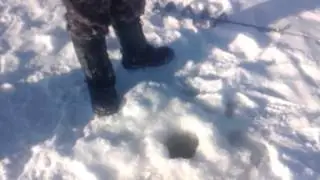 мастер-класс по зимней рыбалке