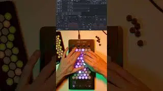 Exquis - @WeAreROLI Equator2 "Overdrive Mono Lead" #tapping #solo #guitar #electricguitar #midi #mpe