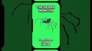 SPIDER MONSTER video footage animation on a GREEN SCREEN.