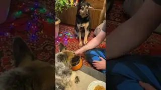 Люся за любой кипиш,кроме голодовки😜 