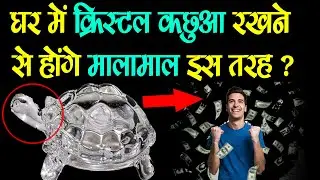घर में क्रिस्टल कछुआ रखने से होंगे मालामाल इस तरह ? कहां और कैसे रखें | Crystal Tortoise Benefits