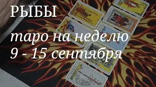 РЫБЫ ТАРО расклад на неделю с 9 по 15 сентября 2024 года.