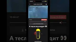 Камеры Тесла видят все! 😂 