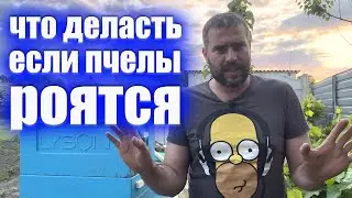 Решаем проблему с роением пчел. 1 Не допустить. 2 Семья в роевом. 3, Что делать после выхода роя