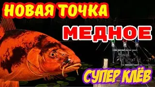 СУПЕР РУЛЕТКА - ТОЛЬКО КАТУШКИ, ЗОЛОТО И ПРЕМЫ 💥 ПОДАРОК - Катушка ЭВИА 6000 - 17, 2 кг 🎁 СТРИМ РР4