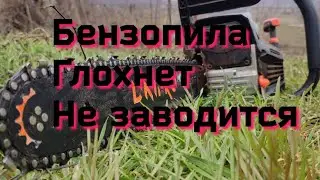 Бензопила не заводится глохнет// Днипро-м