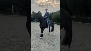 He’s simply the best 🐴🖤 