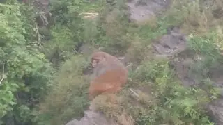 Just for fun