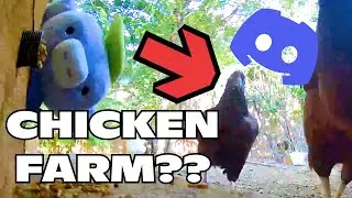 do farmers use discord??
