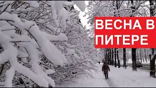#Весна в Питере. И - снова #СНЕГ, СНЕГ, СНЕГ | 29 марта 2023