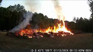 This was not expected - Dealing with the aftermath - Day 99