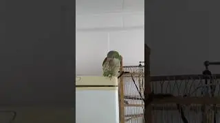 Пока