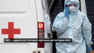 Кто такой Данила Тлисов?