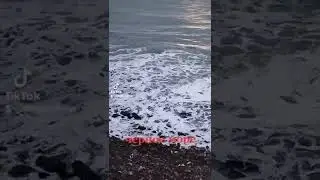 22 октября 2022 г.