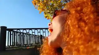 Ленинград — Всё, пока