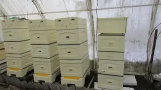 26.11.2023 года - получил заказ с фирмы BienenHaus, ульи Кука , заставные доски, проставочные донья