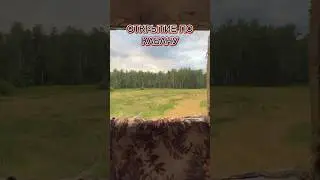 Охота на кабана летом с вышки | Охота на копытных #hunting #nighthunter #тепловизор #охотник