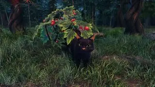 Кошачий домик, поиск лютокошек и лакомства: Grim Soul Survival